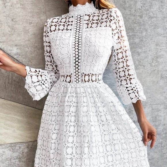 White mock neck Mesh Insert Flounce Sleeve Lace Dress - Picture 7 of 7